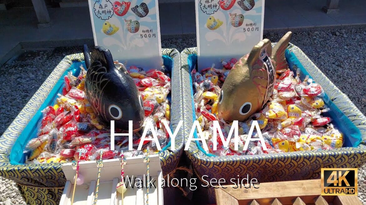 [4K]Beautiful Street of Seaside and Clear water- Walk along Sea Side in Hayama.