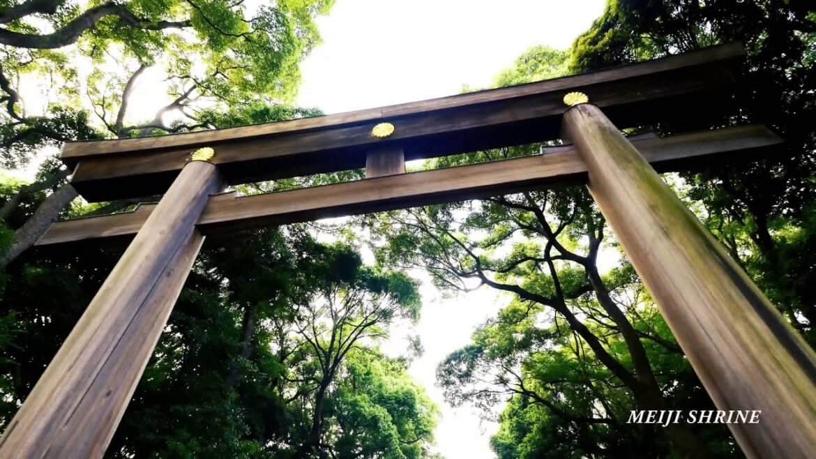 [4K] PoV famous tourist places in Tokyo 東京ストリートビュー