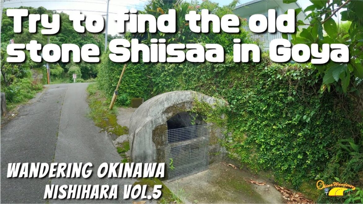Looking for the old stone Shiisaa in Goya, Nishihara town Looking for the old stone Shiisaa in Goya, Nishihara town