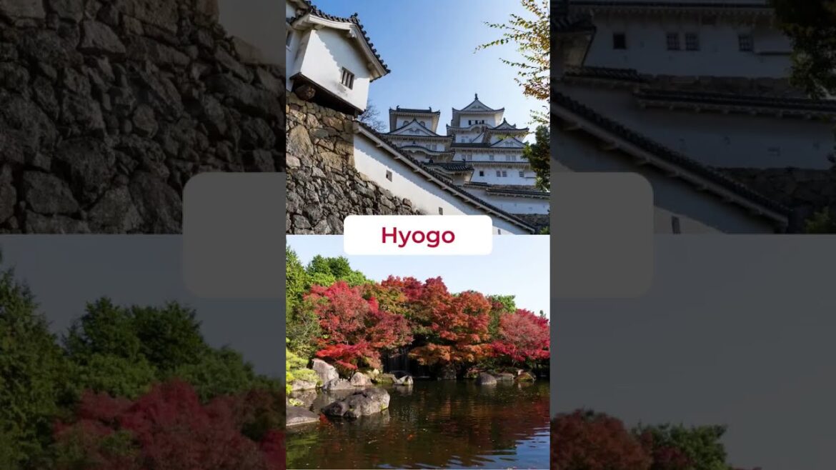 ⛩️Explore Every Prefecture in Japan at one Glance!