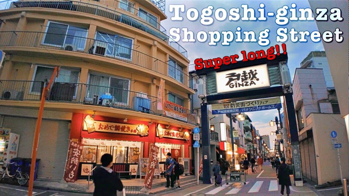 Togoshi-ginza in the evening, going to and fro（夕方の戸越銀座、行ったり来たり）4K Binaural Tokyo Sounds