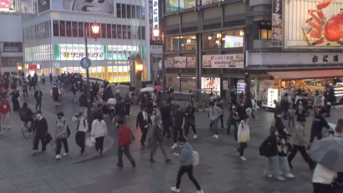 2022/11/7 大阪 道頓堀 ライブカメラ