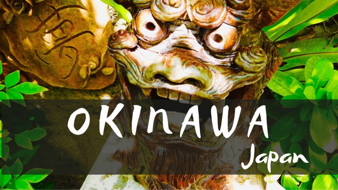 【VLOG】Okinawa, Japan 2020 | Watch before you go! 【VLOG】Okinawa, Japan 2020 | Watch before you go!