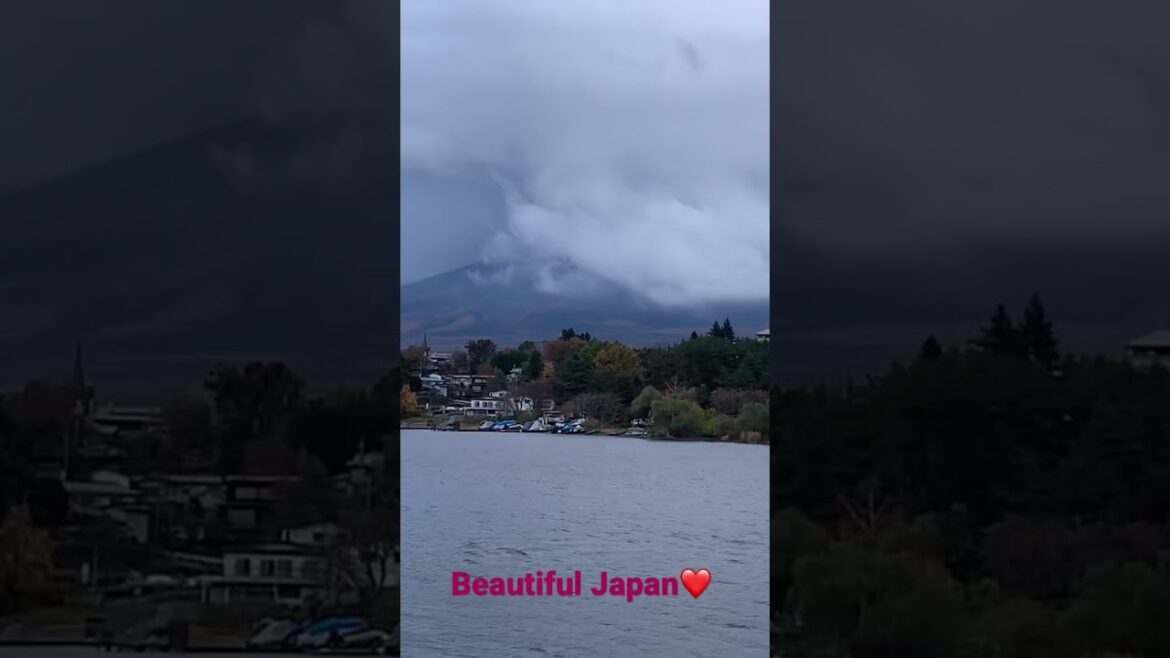 Colourful Japan Mount Fuji Lake kawaguchiko #shorts #travelshorts #travellife #traveller #autumn
