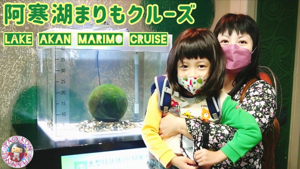 🚢阿寒湖遊覧船🚢まりもクルーズ🚢チュウルイ島🚢マリモ展示観察センター🚢北海道観光🗾Lake Akan Pleasure Boat Cruise🚢Marimo Exhibition Center🚢
