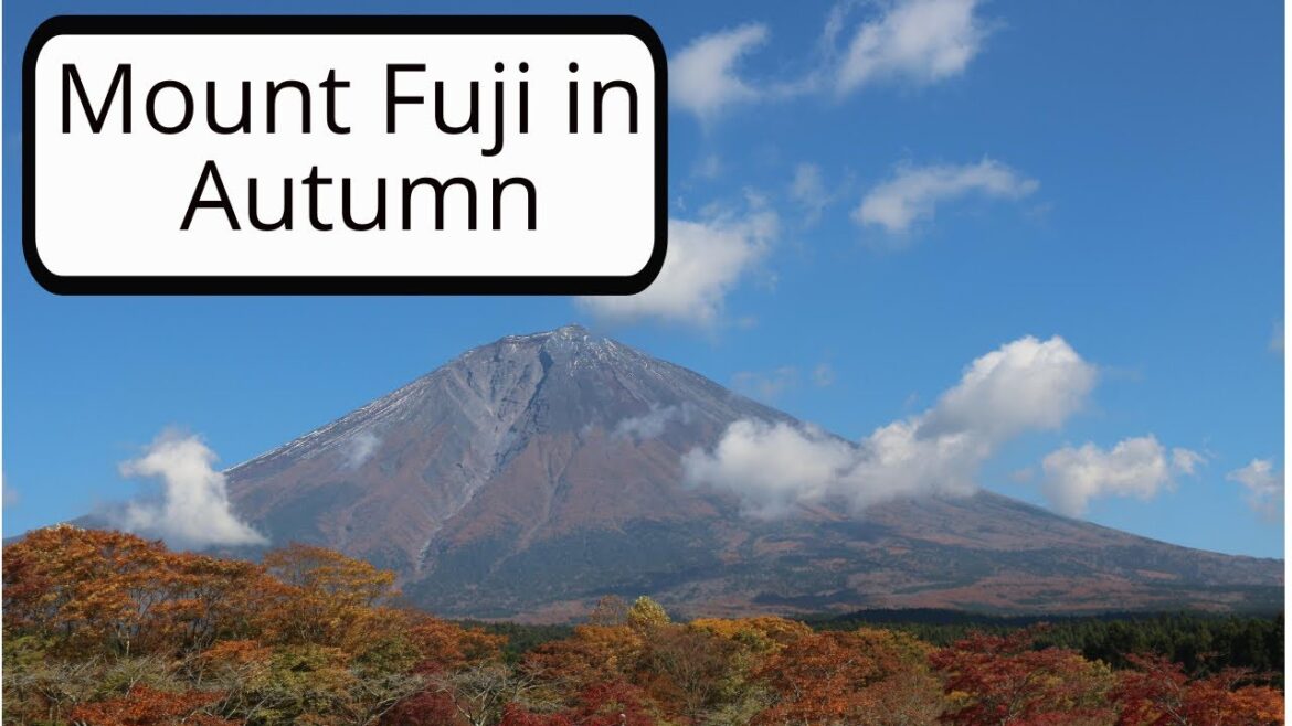 Mount Fuji in Autumn