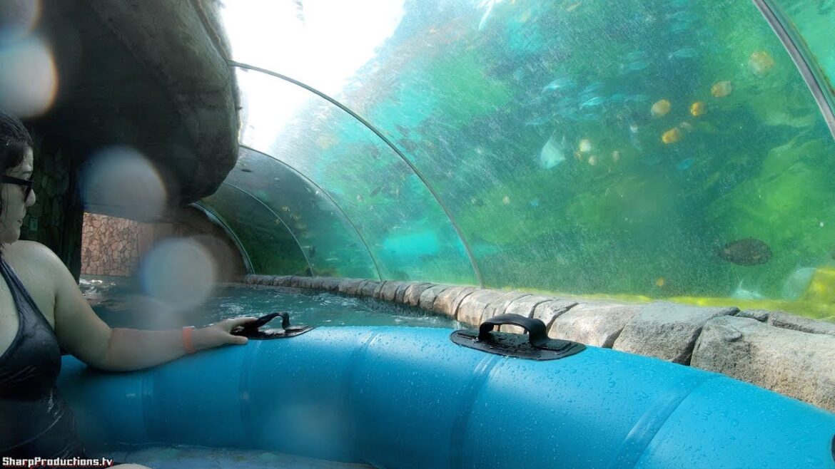 Stingray Falls Raft Ride (4K On-Ride) Aquatica San Antonio