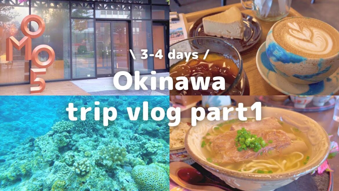 ギリギリまで夏をたのしむ沖縄アラサー女子旅【前編】｜OMO5 沖縄那覇｜慶良間諸島ダイビング｜沖縄グルメ｜アグー豚のしゃぶしゃぶ｜rokkan COFFEE CREATORS｜ソーキそばランチ