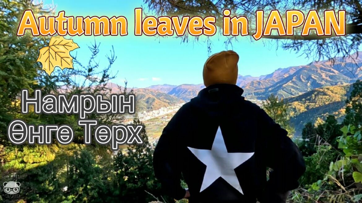 Autumn Leaves | The Japanese Countryside | walking alone in the forest