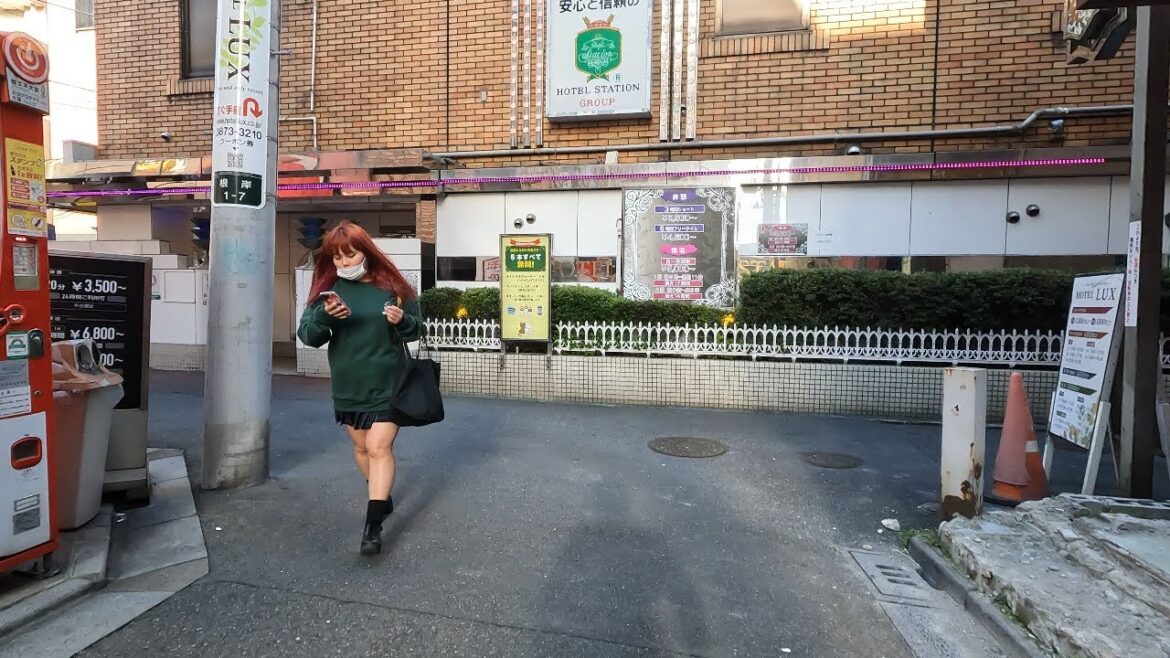 【4k60】ハロウィンの鶯谷のホテル街を散歩!ホテル入退室ラッシュ 【4k60】ハロウィンの鶯谷のホテル街を散歩!ホテル入退室ラッシュ