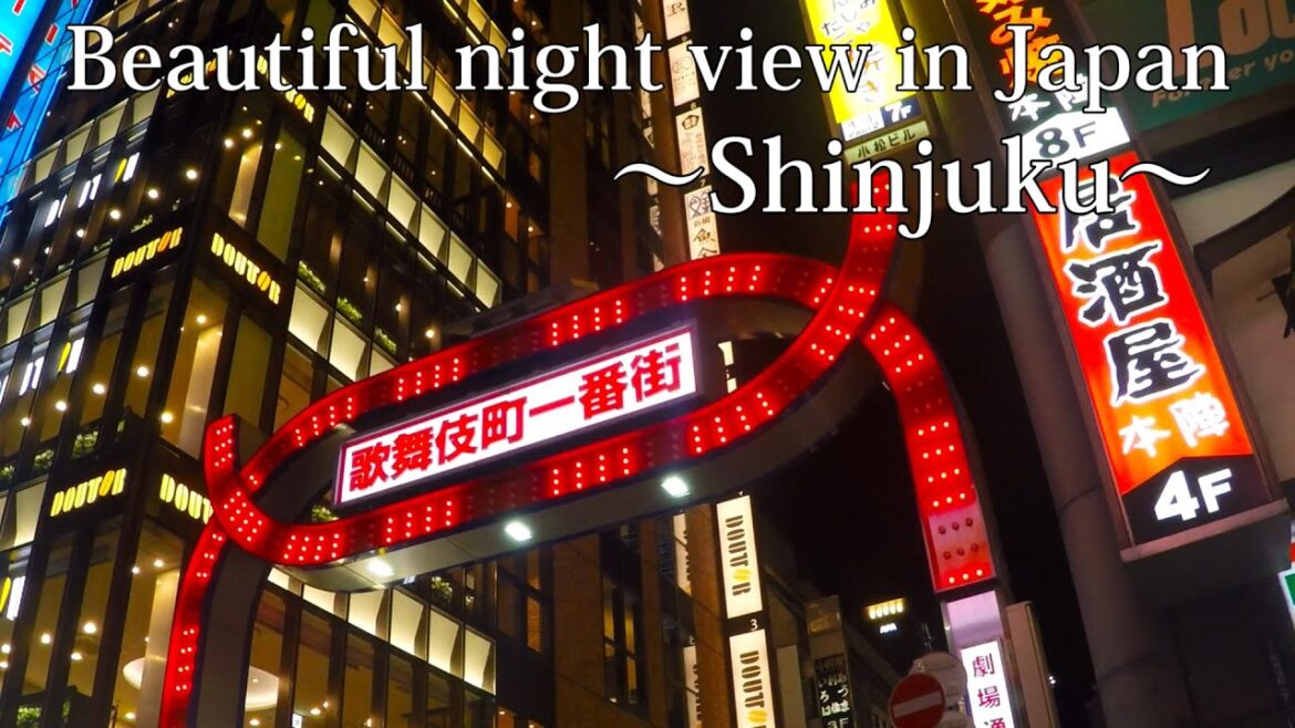 【Tokyo】Beautiful night view in Japan ～Shinjuku～