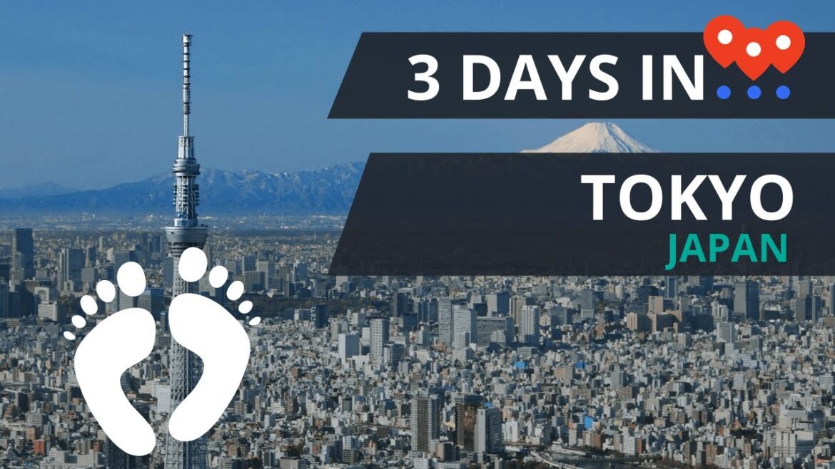 Things to do in Tokyo, Japan : 3 Day Travel Guide and Itinerary Things to do in Tokyo, Japan : 3 Day Travel Guide and Itinerary