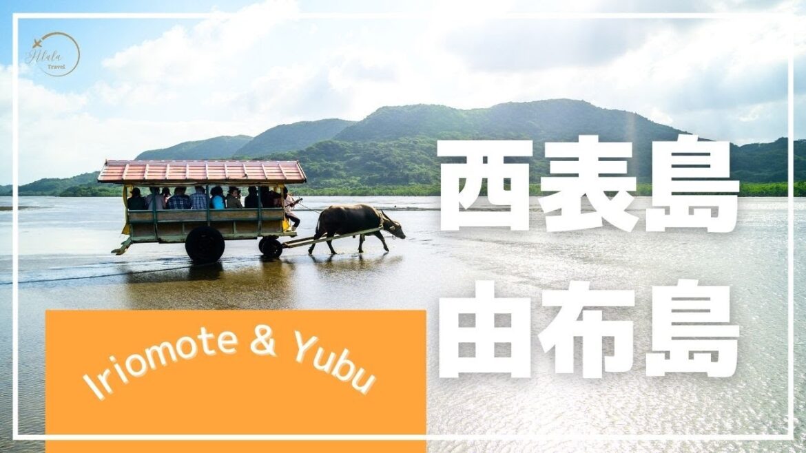 【石表島】圧倒的にツアーがおすすめ！カヤックとトレッキングでマングローブを大満喫！由布島で水牛車観光も最高すぎる！【SUB】Japan/Okinawa/Iriomote
