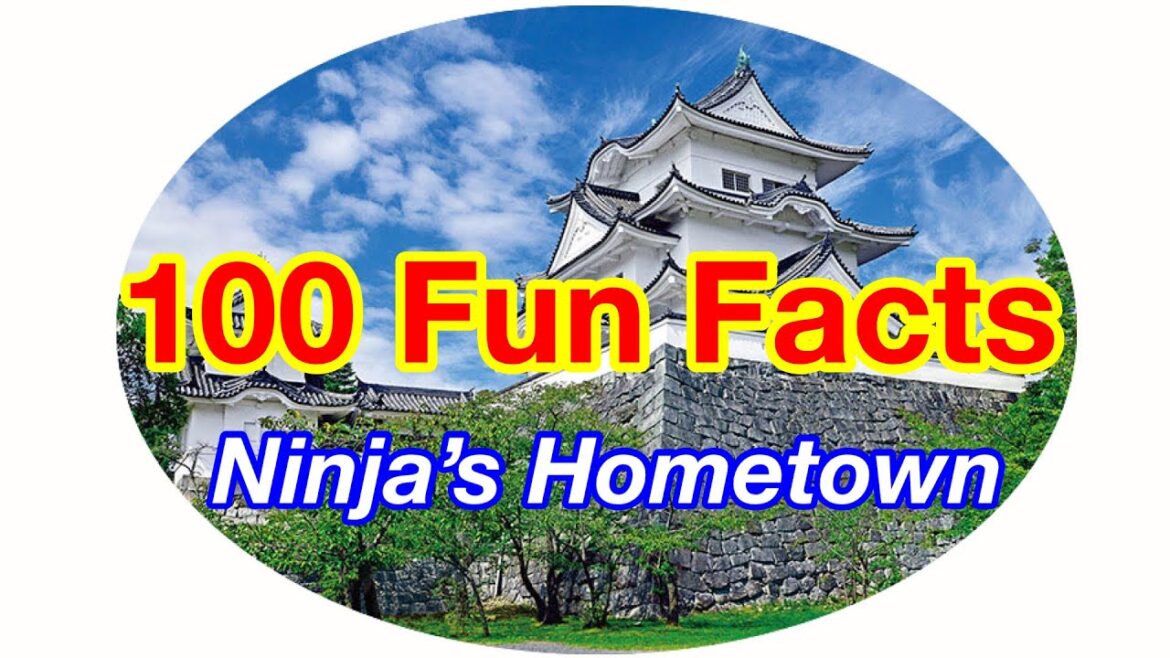 History of Japan | Ninja