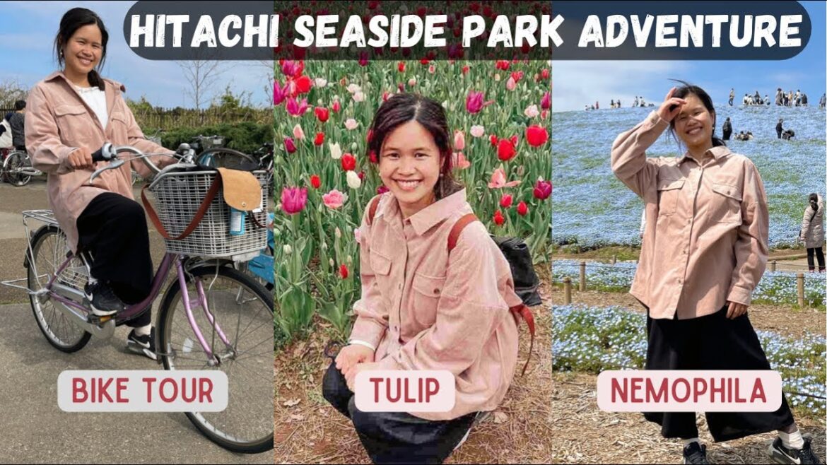 Hitachi Seaside Park Adventure|Nemophila Sky Blue Garden,Tulip,Bike Tour at Ibaraki|PinkSampaguita Hitachi Seaside Park Adventure|Nemophila Sky Blue Garden,Tulip,Bike Tour at Ibaraki|PinkSampaguita