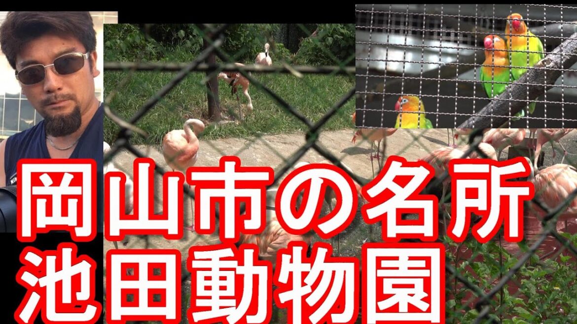 岡山市の名所『池田動物園(牧場)』岡山藩主子孫による開設!「山を利用した私営の動物園」Ikeda-zoo in Okayama city,Japan 岡山市の名所『池田動物園(牧場)』岡山藩主子孫による開設!「山を利用した私営の動物園」Ikeda-zoo in Okayama city,Japan