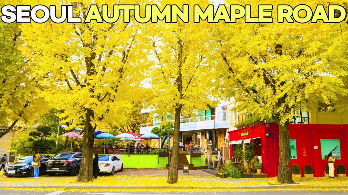 [4K HDR] 북촌마을 단풍 - 서울 북촌마을 삼청동 가을단풍길에서 덕수궁 단풍길을 따라 서울역 까지 걷기 - Walk Seoul, Trip Korea.