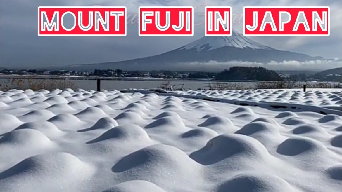 ||A Short Trip of Mount Fuji in Japan|| #shortvideo  #mountfuji #shorts  @Sukumar Creative #japan
