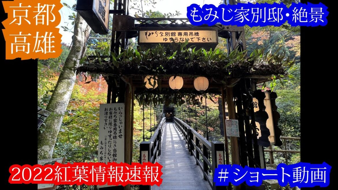教えたくない絶景！京都紅葉最新中継！高雄、もみぢ亭別館の風情をお届け！11月5日（土）現在の状況　京都紅葉情報2022 予約がなかなか取れない名店！