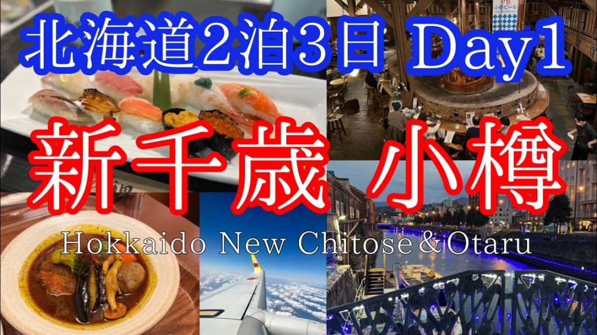 【新千歳空港&小樽】グルメ/観光/北海道2泊3日/家族6人旅 /Hokkaido 3days 【New chitose and Otaru】with English subtitle 【新千歳空港&小樽】グルメ/観光/北海道2泊3日/家族6人旅 /Hokkaido 3days 【New chitose and Otaru】with English subtitle