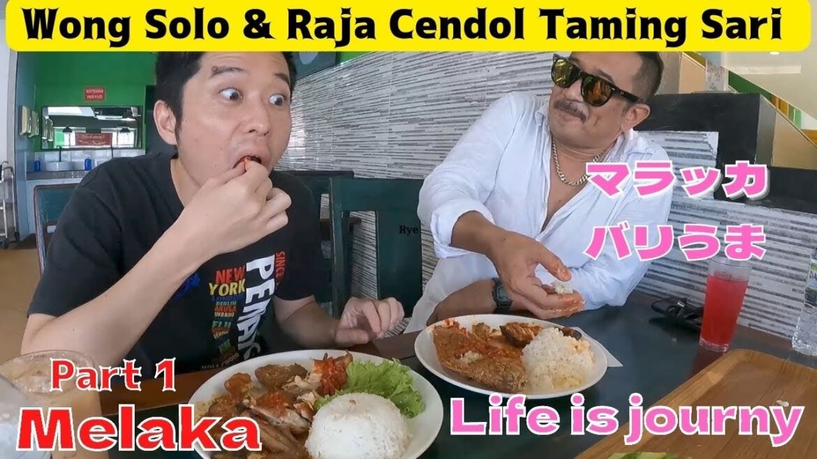 [Malaysia]sacred place for travellers Melaka(Malacca). 2hours & half from KL by bus.So Nice Food😋