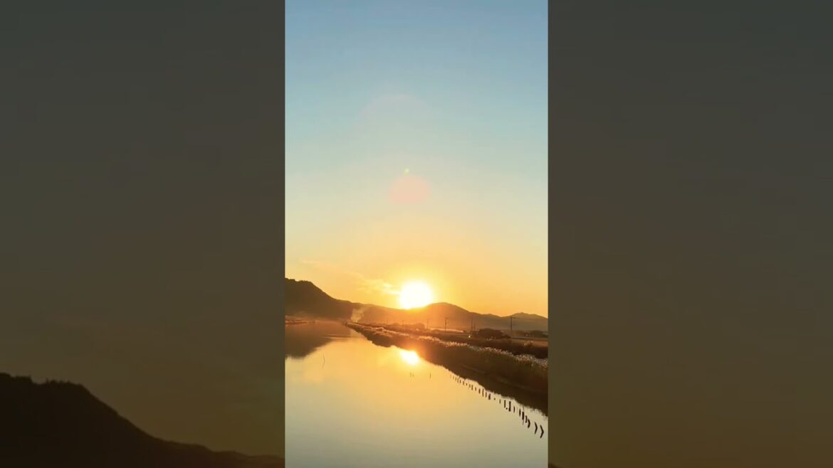 Sunset  #shorts kojima #児島 #岡山