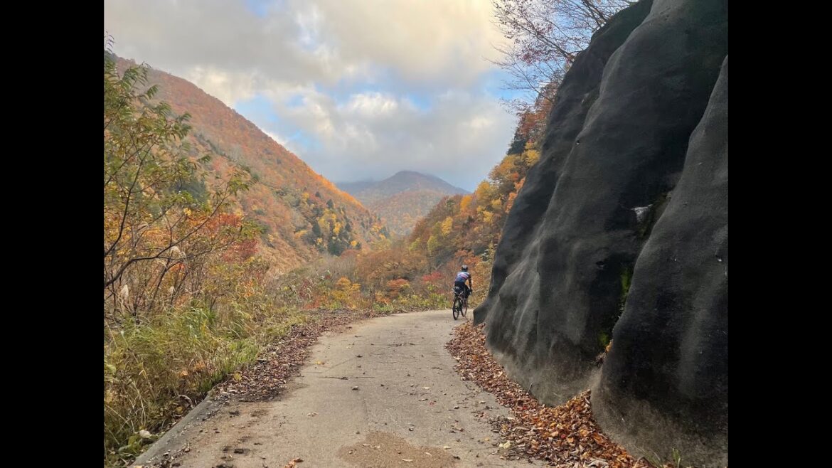 Japan Cycling Adventure, Fall Leaves Edition! #shorts