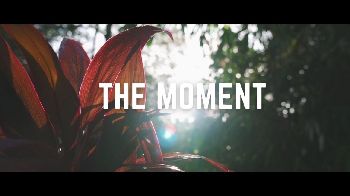The Moment | Cinematic Vlog Shot | Sony A6400 | Sigma 16mm F1.4 | Pasir Puteh Resort, Kalumpang