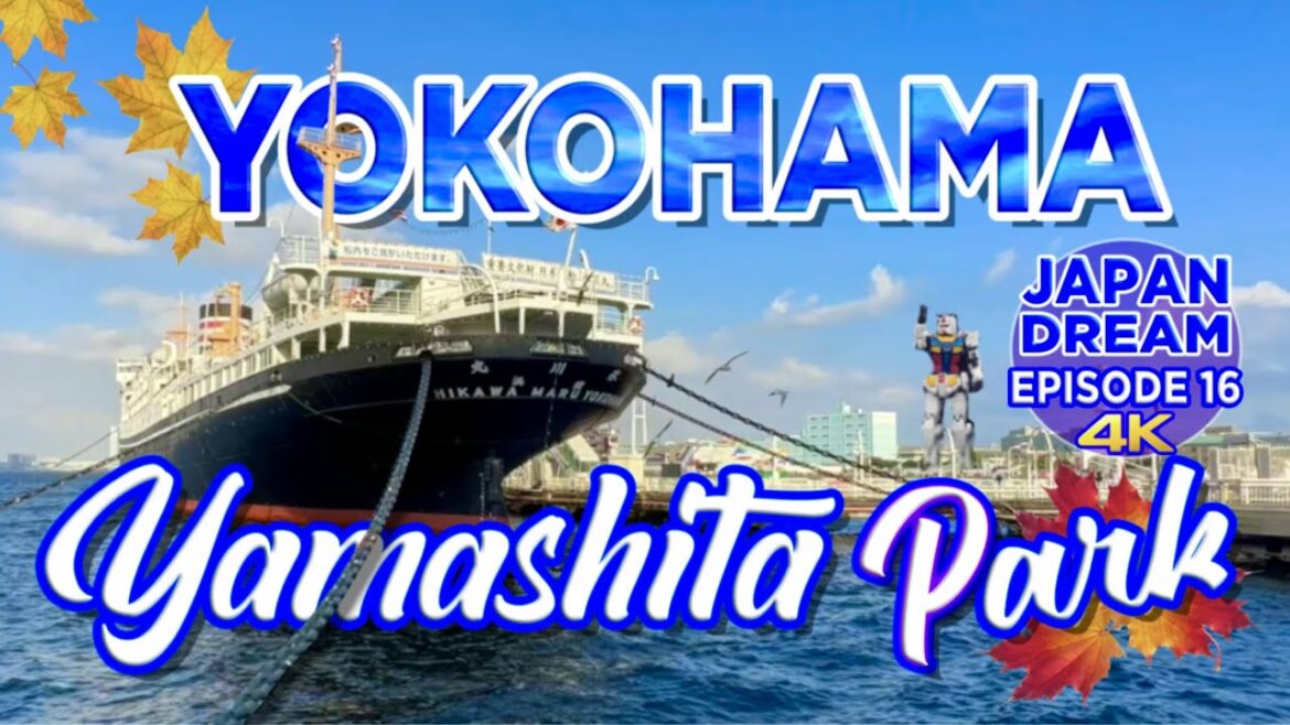 Yamashita Park & YOKOHAMA City Lights☆ Yamashita Park & YOKOHAMA City Lights☆