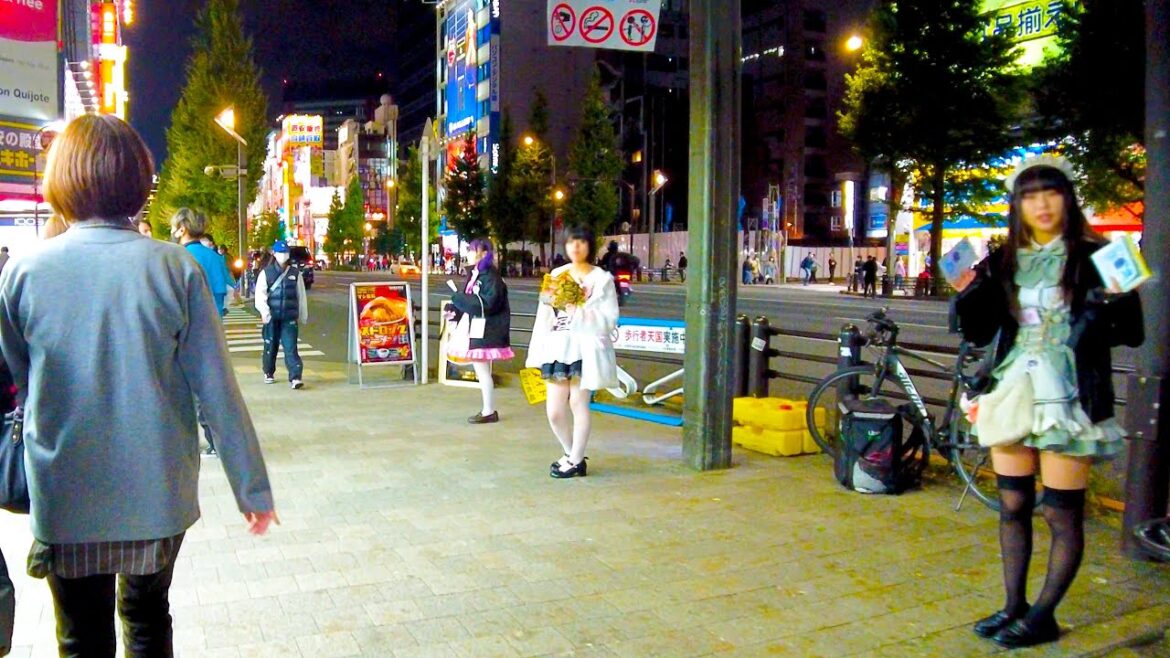 Akihabara in Tokyo. Night Maid Cafe♪💖🐶4K ASMR non-stop 1 hour 04 minutes Akihabara in Tokyo. Night Maid Cafe♪💖🐶4K ASMR non-stop 1 hour 04 minutes