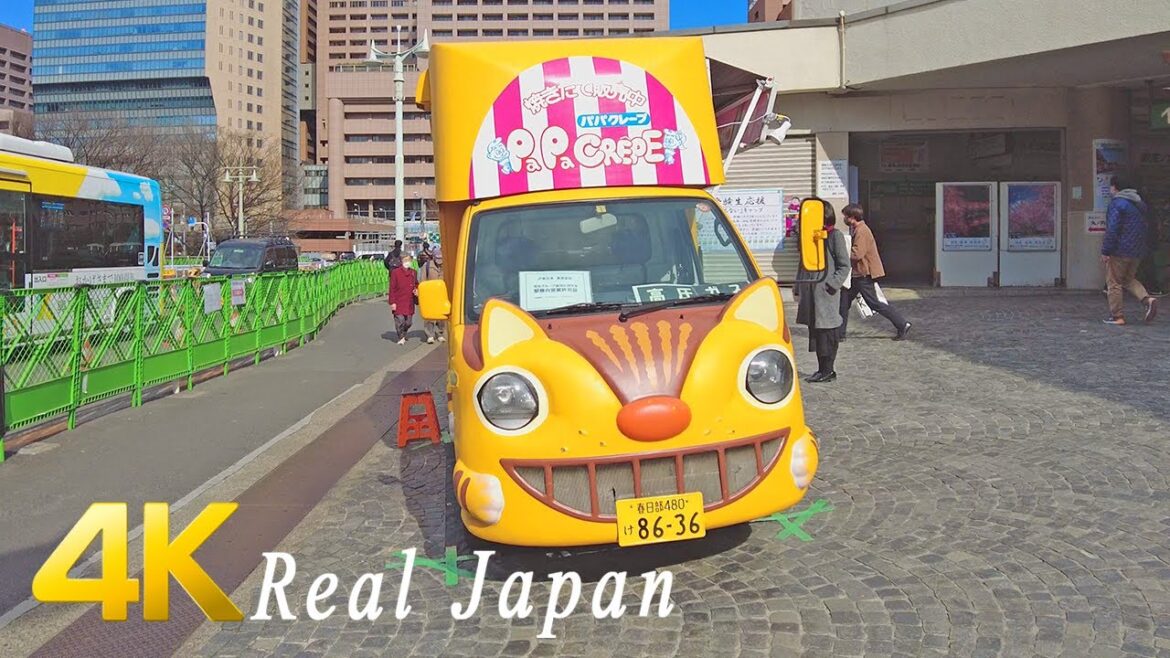 Walking in Ochanomizu and Jinbocho, Tokyo Japan - 4k ambience