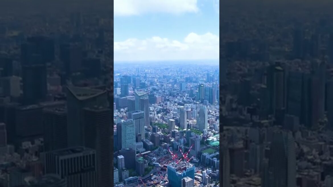 Japan Travel | Japan Travel Vlog | Japan Travel Tips | Japan Travel Guide | Tokyo | Japan #shorts