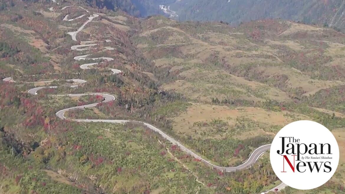 Tateyama Kurobe Alpine Route ablaze with autumn colors - The Japan News