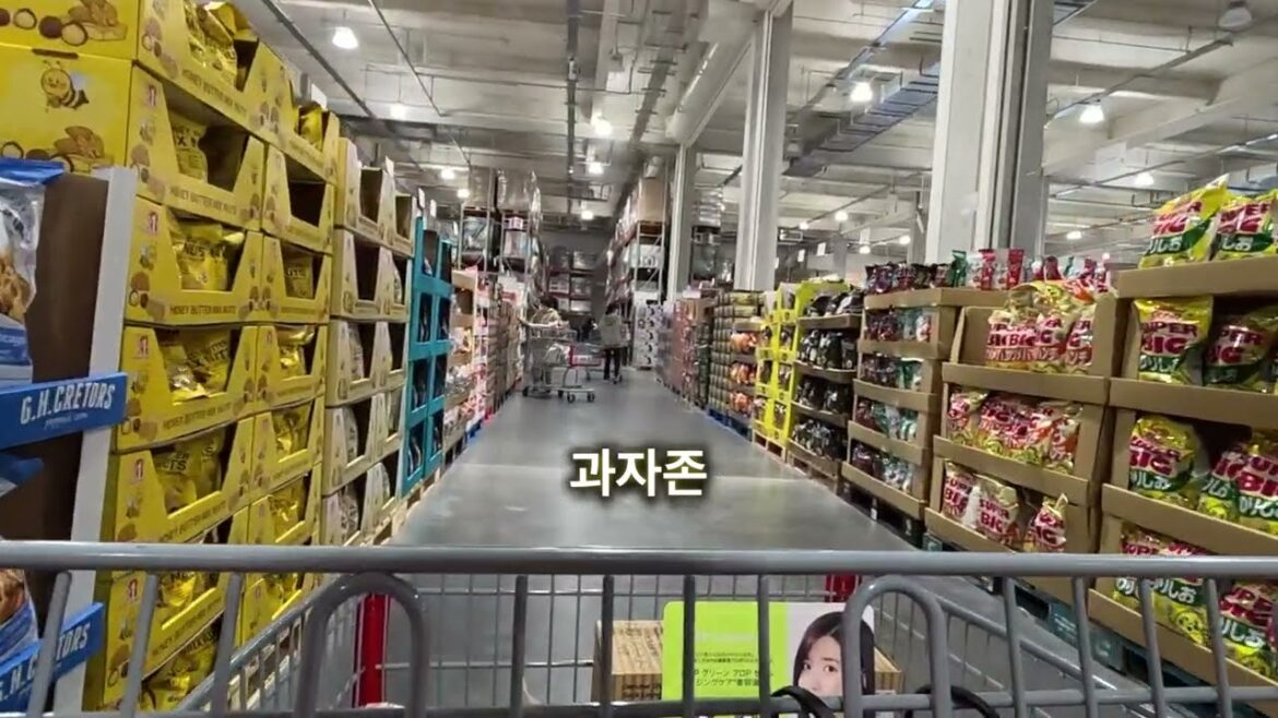 [일본 여행]  나고야 코스트코 구경 JAPAN NAGOYA WALKER