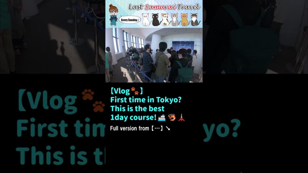 【Vlog🐾】Tokyo's really best 1-day sightseeing course😆🚢🗼#short 【Vlog🐾】Tokyo's really best 1-day sightseeing course😆🚢🗼#short