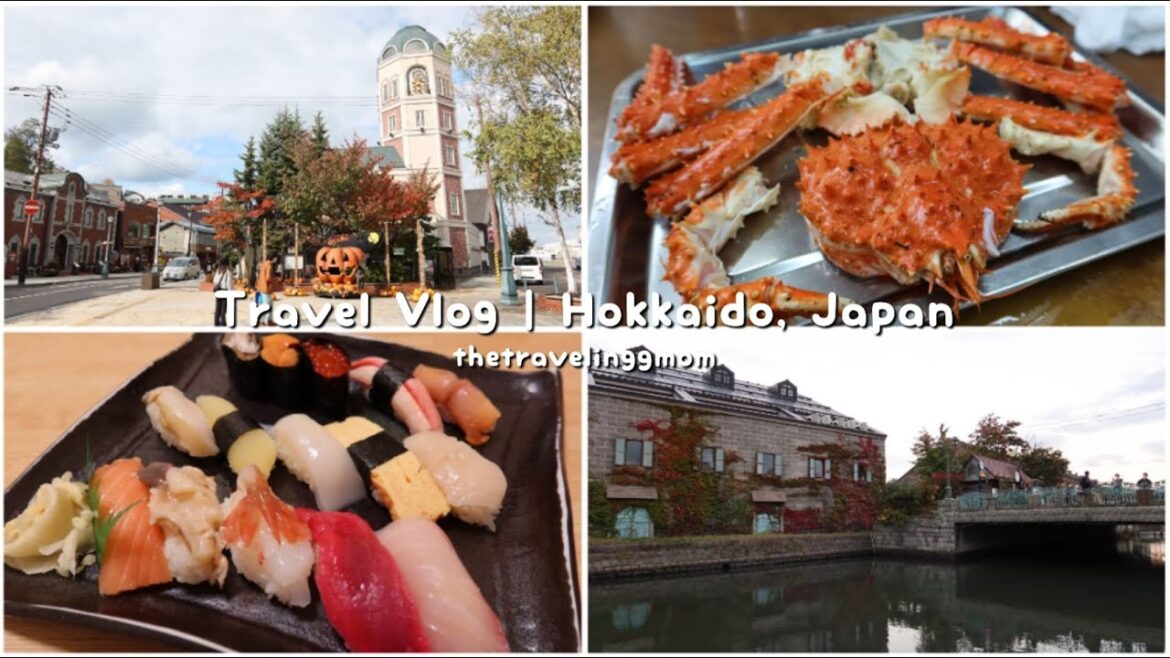 [VLOG] Hokkaido Series Part III | Autumn 2022 | Otaru | Sight seeing, Shopping, Snow Crab, King Crab