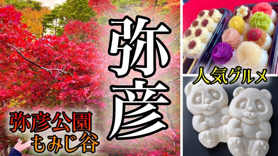 【紅葉】真っ盛りにグルメ散策「弥彦公園もみじ谷」と「弥彦神社」 【紅葉】真っ盛りにグルメ散策「弥彦公園もみじ谷」と「弥彦神社」