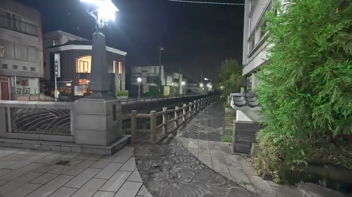 Night Japan - Tochigi city・4K HDR