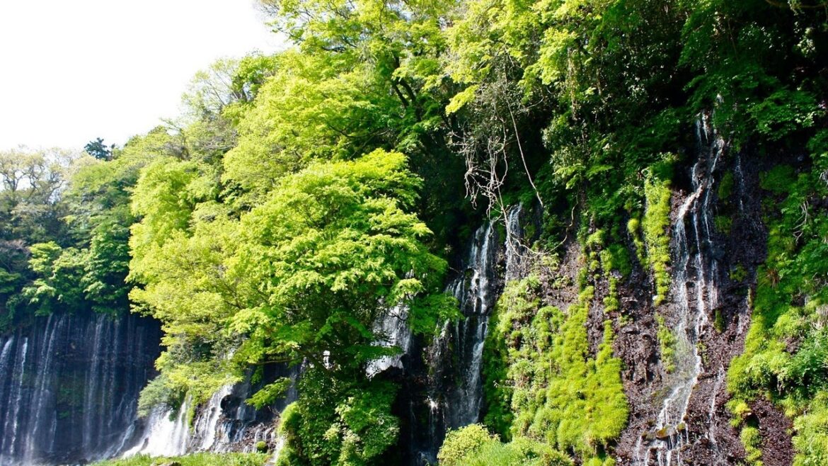 HOT NEWS Yachimata 2017 Best Of Yachimata Japan Tourism