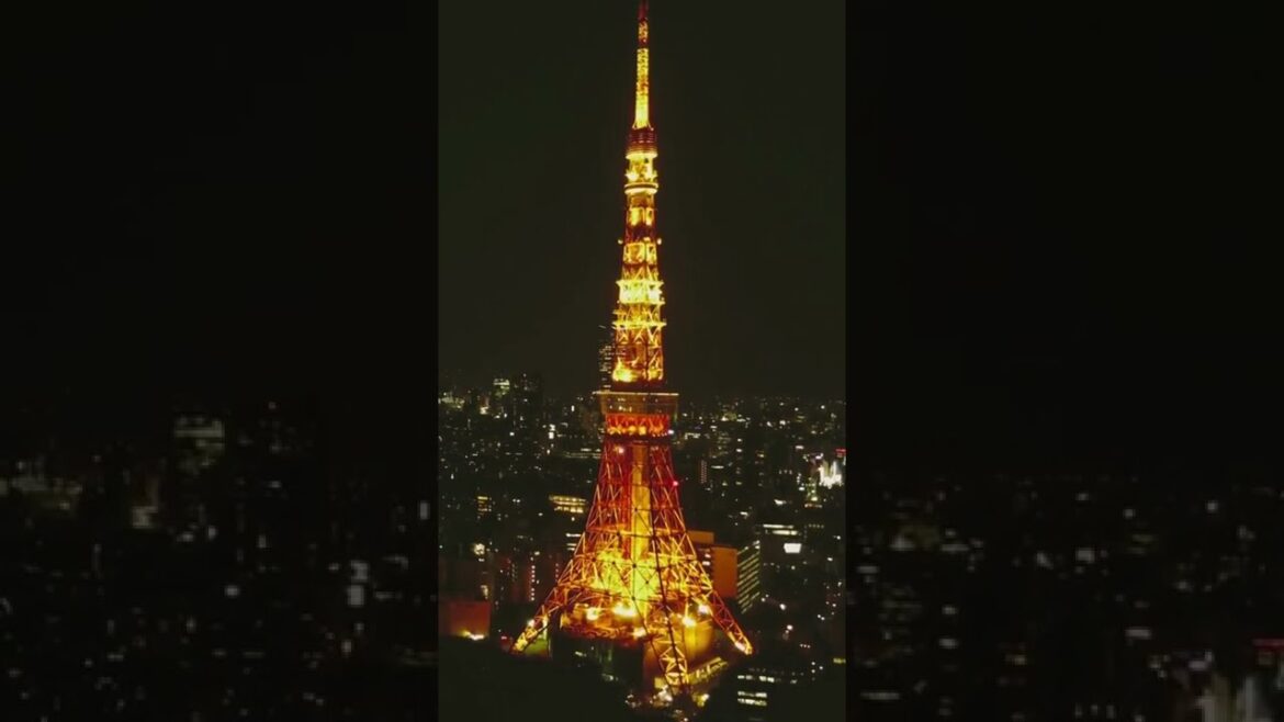 Travel info for Tokyo, Japan #shorts