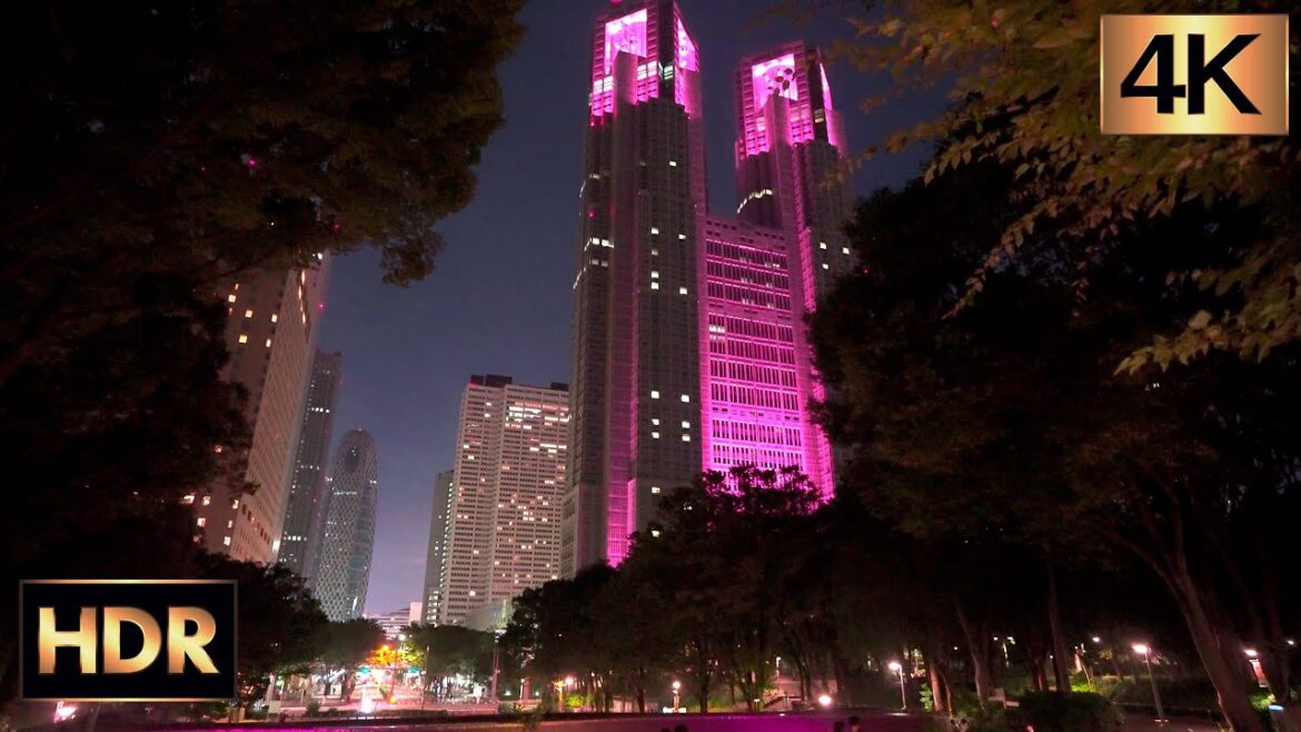4K HDR 60fps | Tokyo Shinjuku Skyscraper Night Walk – 夜の新宿高層ビル街を散歩 – Fall 2022 4K HDR 60fps | Tokyo Shinjuku Skyscraper Night Walk - 夜の新宿高層ビル街を散歩 - Fall 2022