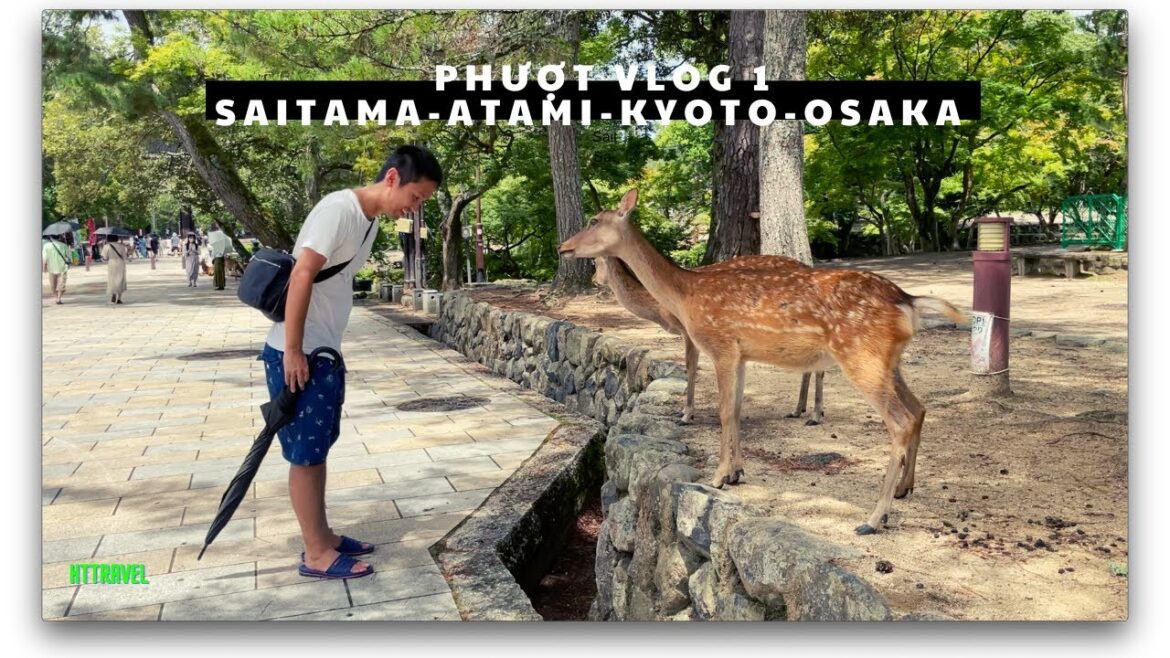 Japan travel /Chuyến phượt 1000km từ Saitama đến Osaka ( phần 1 Atami-Kyoto)/ httravel