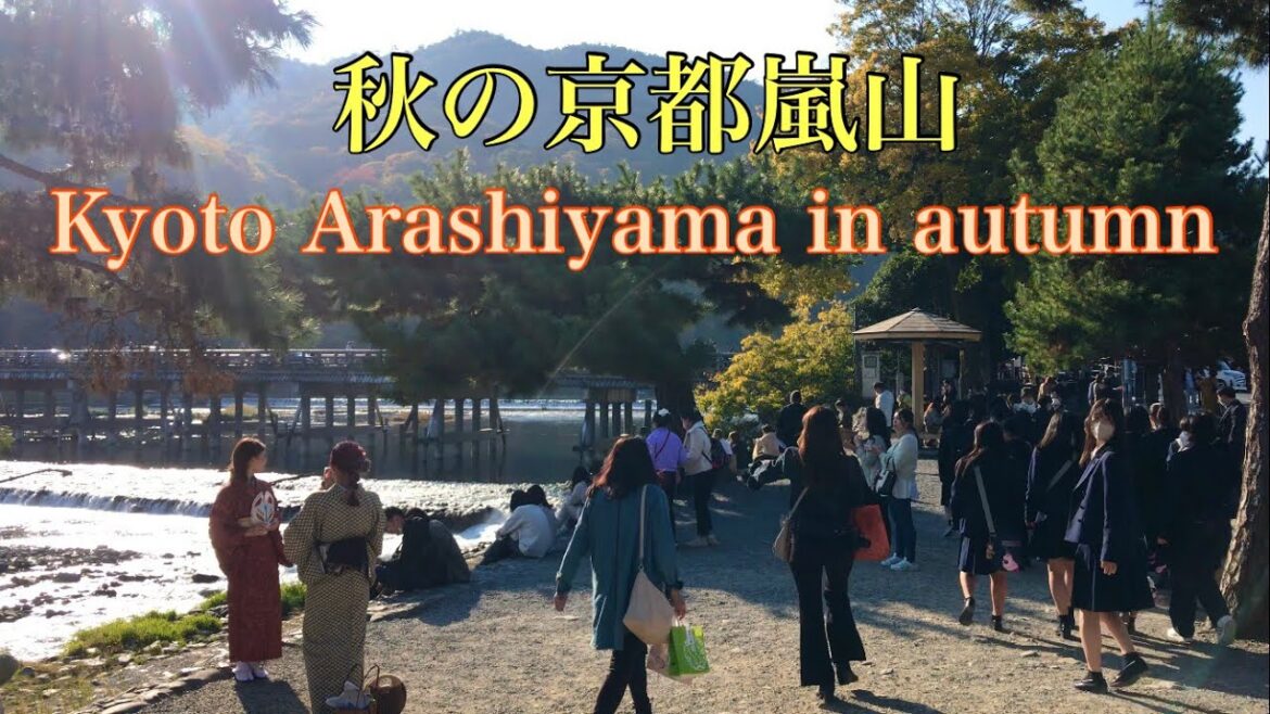 秋の京都嵐山🍁 Kyoto Arashiyama in autumn 2022年11月9日(水)