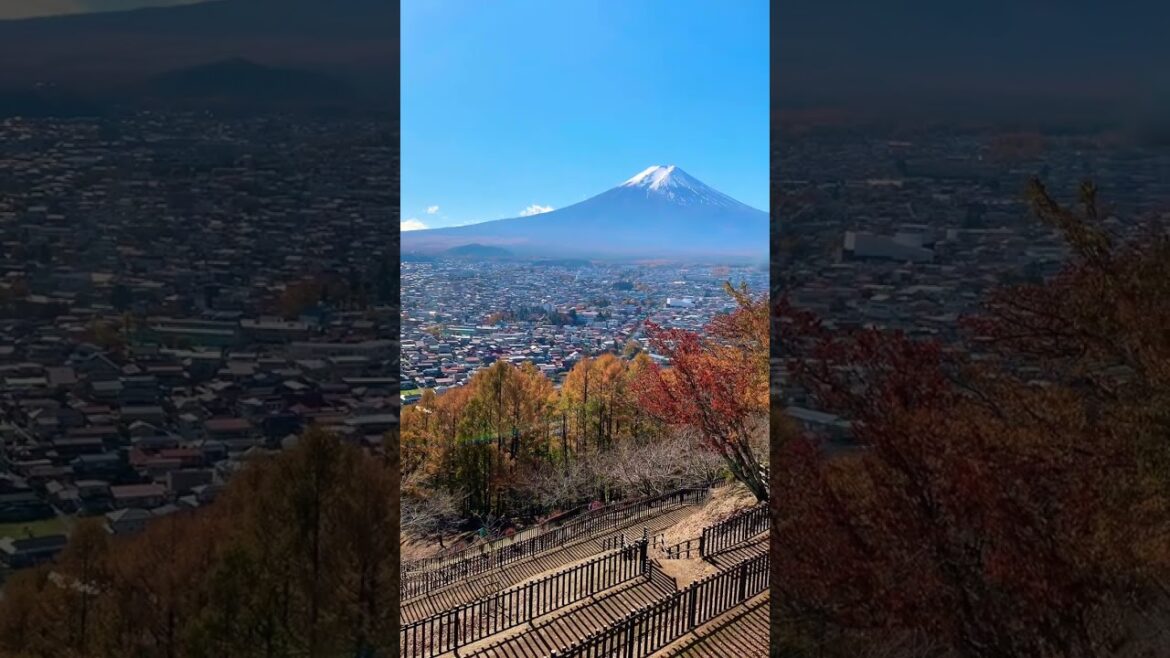 秋天的富士山 Mount Fuji in Autumn #mtfuji #富士山 #日本东京