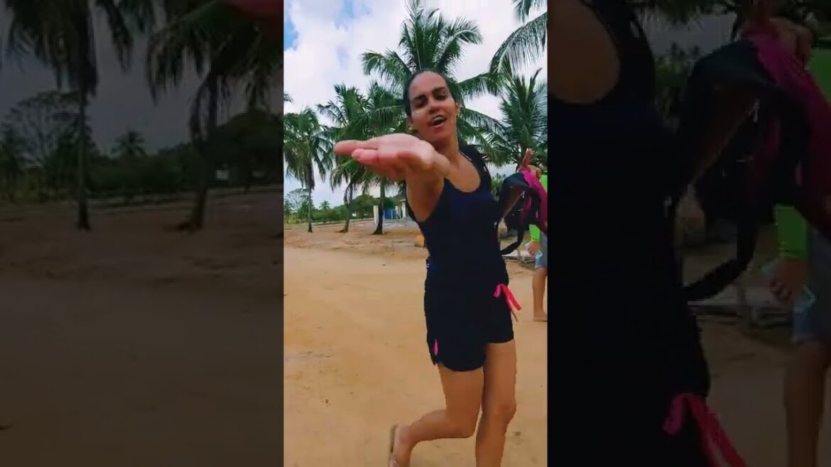 Passeio no Loteamento Reserva Maragogi – Terrenos em Maragogi AL #shorts Passeio no Loteamento Reserva Maragogi - Terrenos em Maragogi AL #shorts