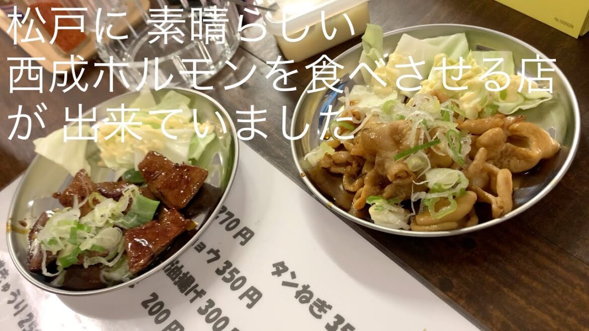 松戸に 素晴らしい西成ホルモンを食べさせる店が 出来ていました @ごとうのB級グルメ旅 松戸に 素晴らしい西成ホルモンを食べさせる店が 出来ていました @ごとうのB級グルメ旅