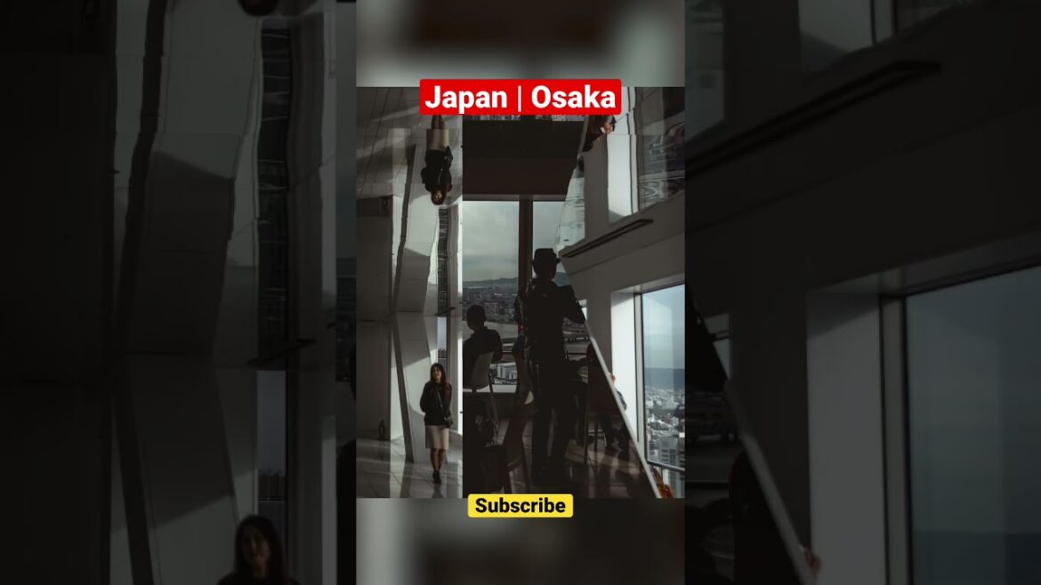 Japan | Osaka Photography #shorts #fyp #travelphotography
