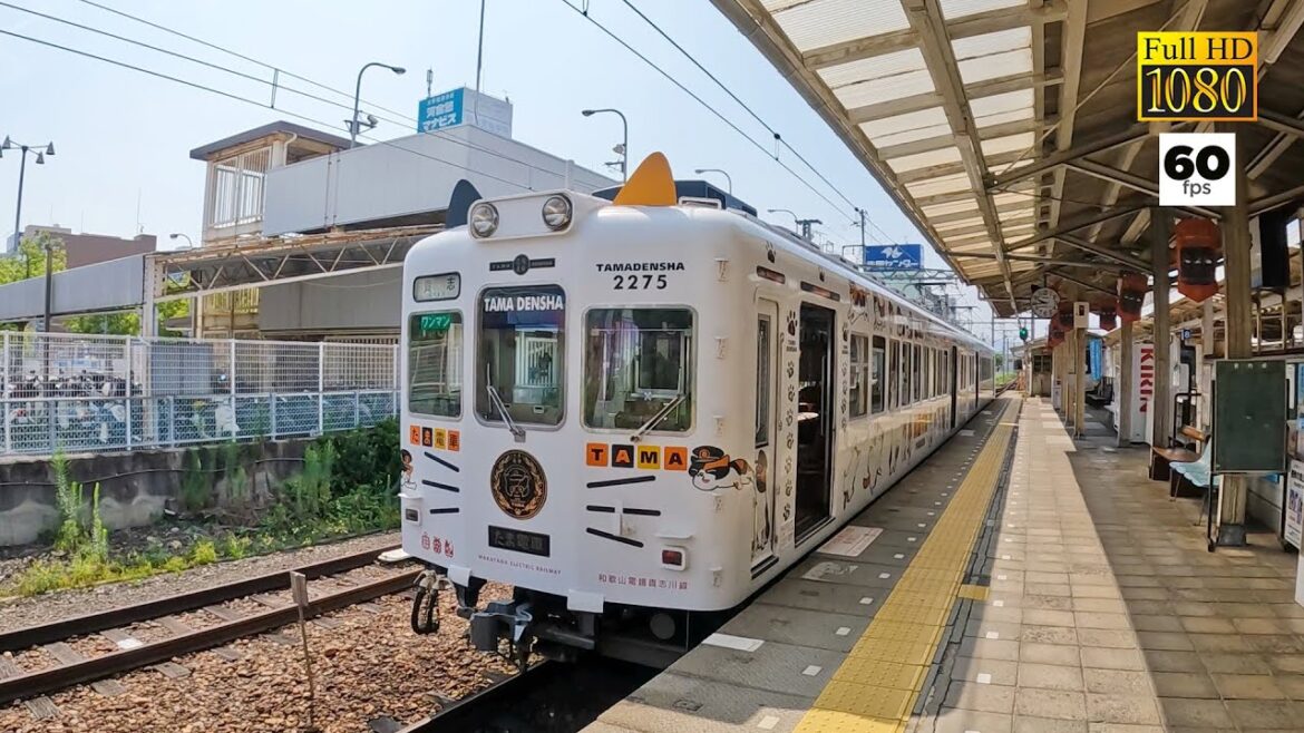 JAPAN TRAVEL | Ride the Tama Densha | The cutest cat train | Visited Tama Cafe at Kishi Station