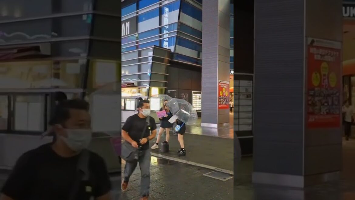 Tokyo Walking Tour ⭐