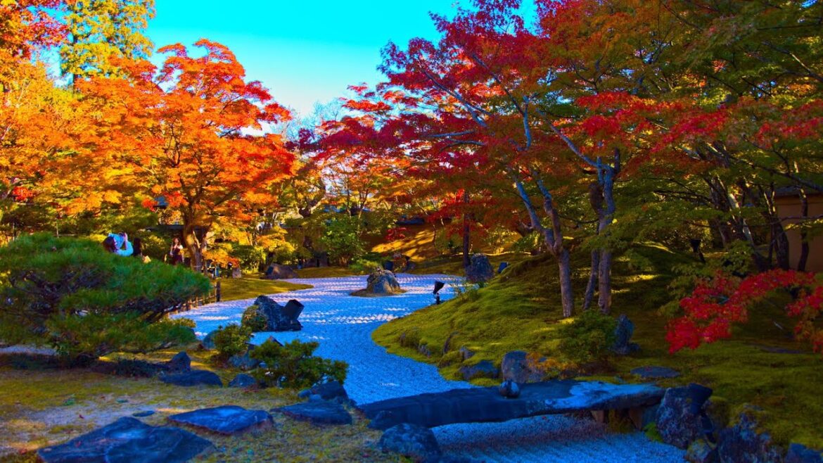 8K HDR 宮城 松島 円通院(重文)の紅葉 Miyagi,Matushima Entsuin(Cultural Property) in Autumn